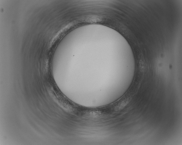 X0000051920304200507082102