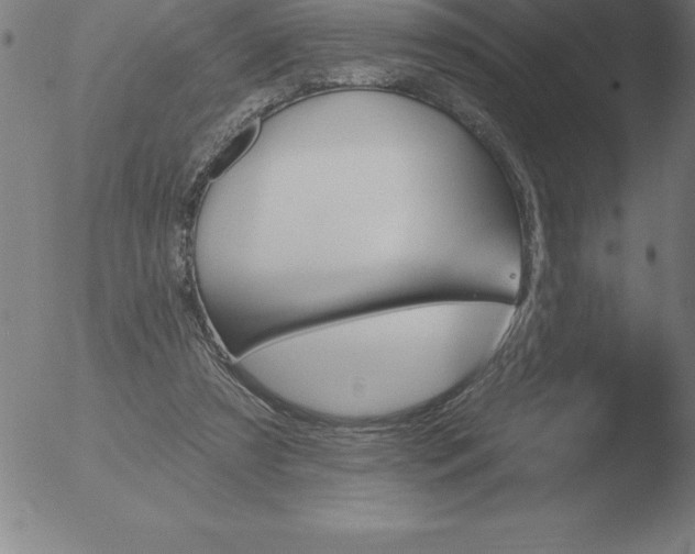 X0000051920305200507082102