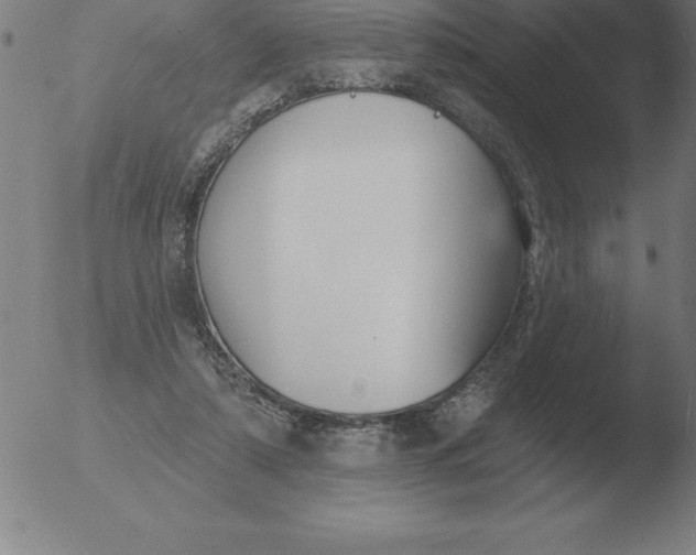 X0000051920306200507082102