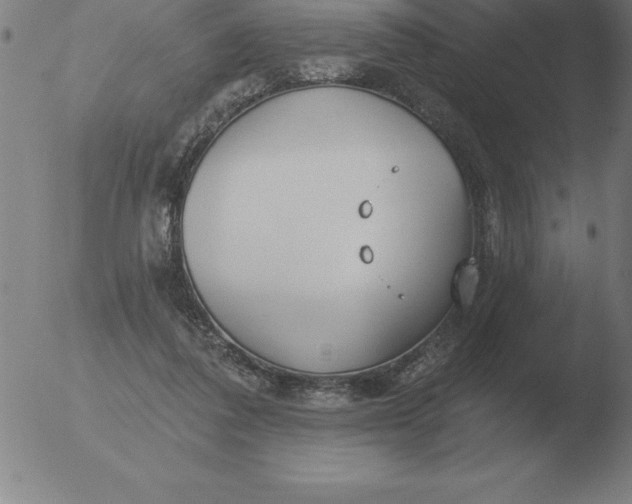 X0000051920308200507082102