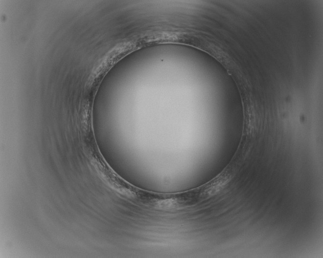 X0000051920309200507082102