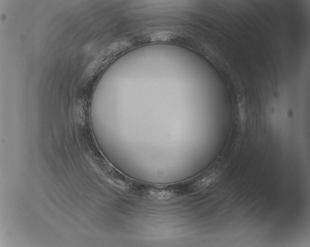 X0000051920311200507082102