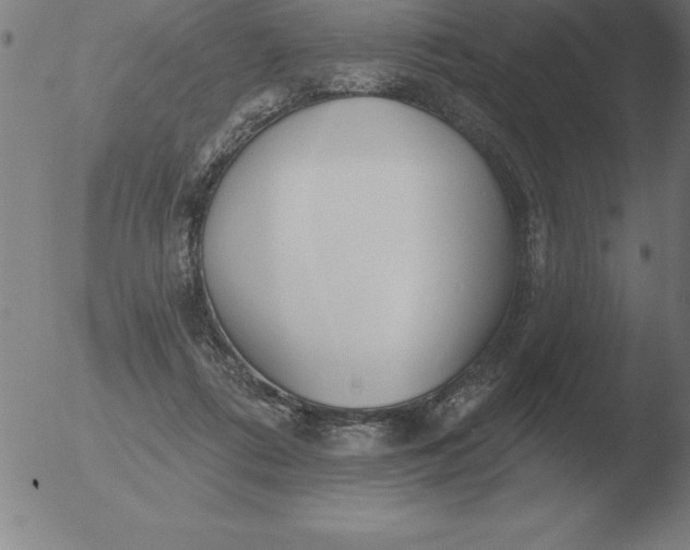 X0000051920312200507082102