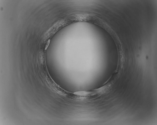 X0000051920313200507082102