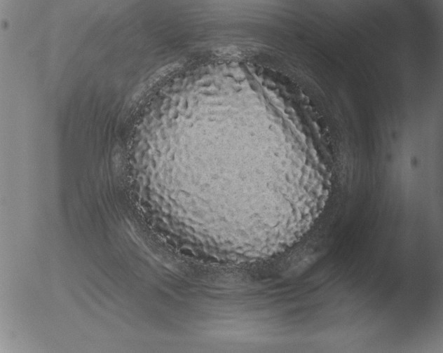 X0000051920314200507082101