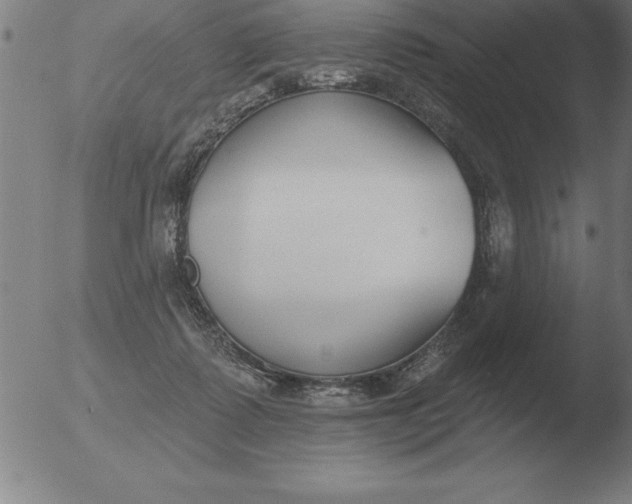 X0000051920315200507082101