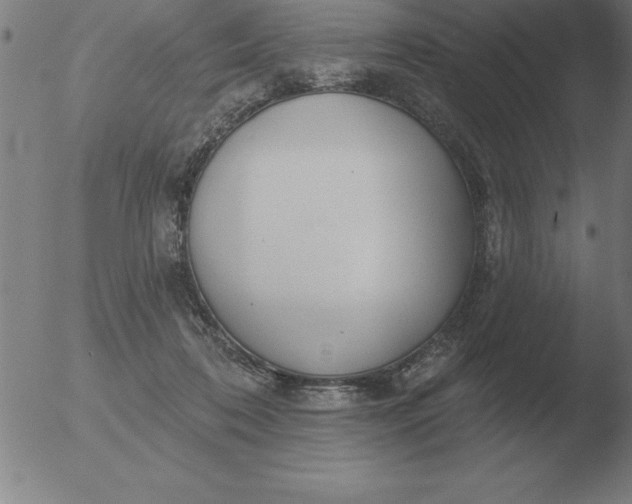 X0000051920316200507082101