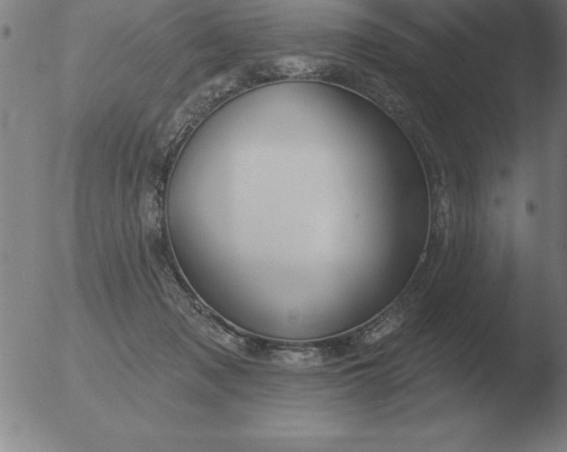 X0000051920317200507082101