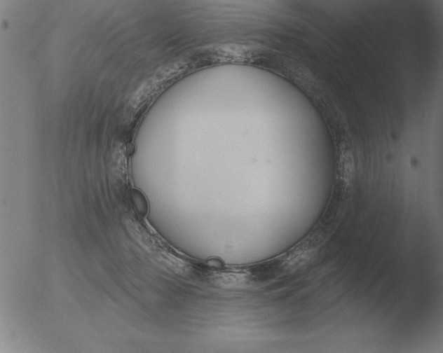 X0000051920318200507082101