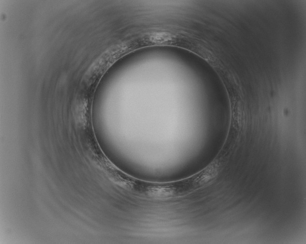 X0000051920319200507082101