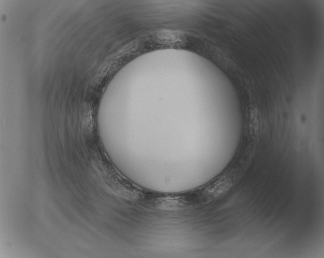 X0000051920320200507082101