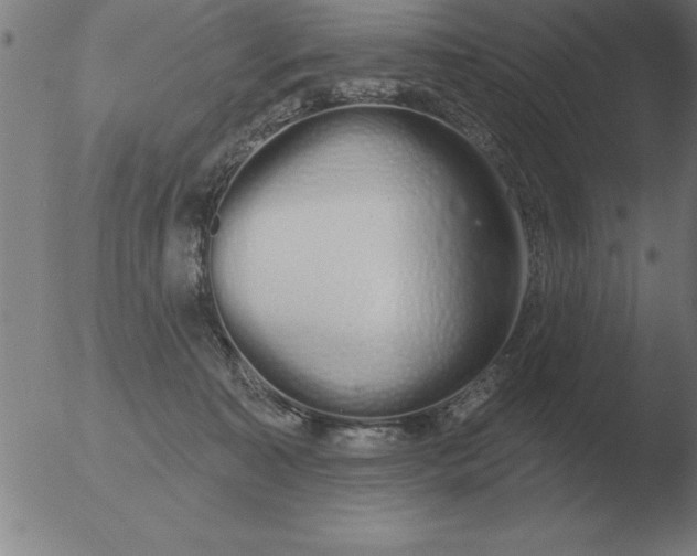 X0000051920323200507082101