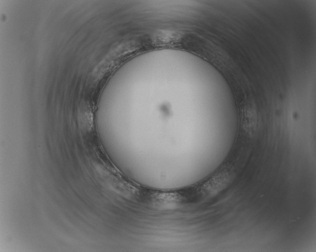 X0000051920324200507082101