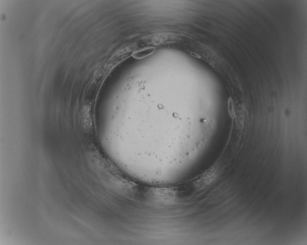 X0000051920327200507082101