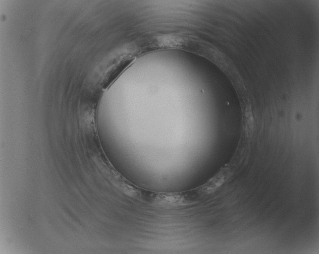 X0000051920329200507082101