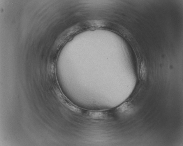 X0000051920330200507082101