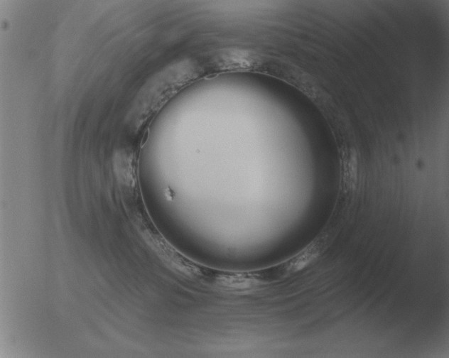 X0000051920331200507082101