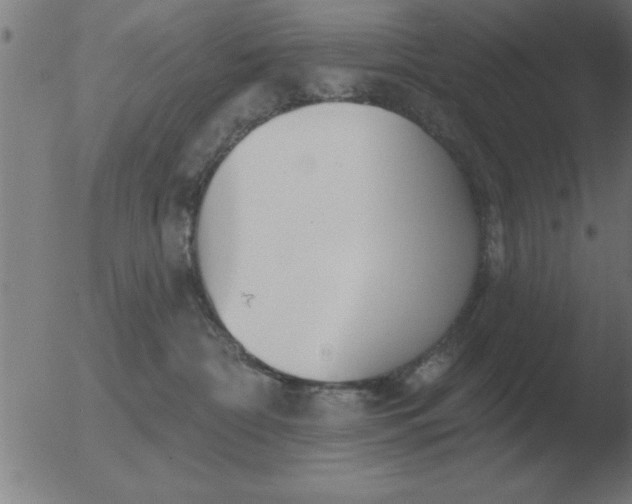 X0000051920332200507082101