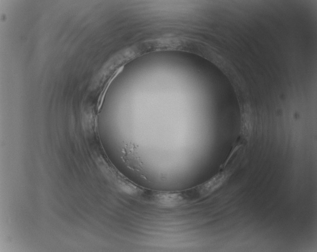 X0000051920333200507082101