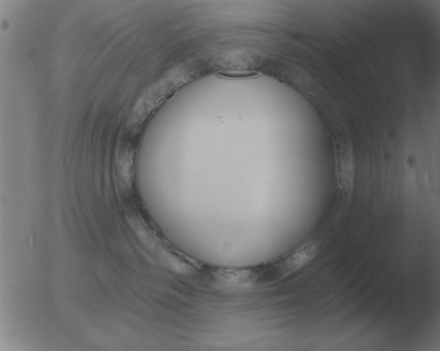 X0000051920334200507082101