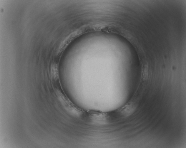 X0000051920335200507082101