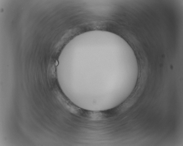 X0000051920336200507082101