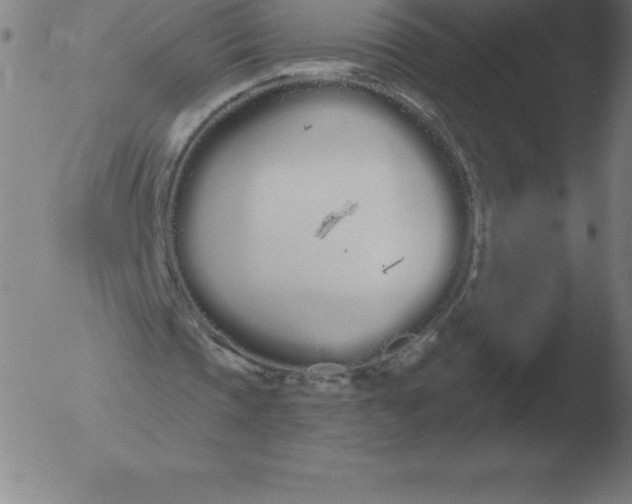 X0000051920337200507082100