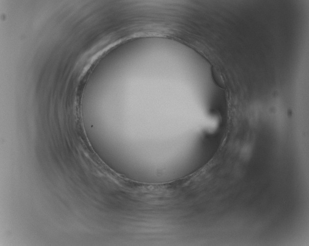 X0000051920338200507082100