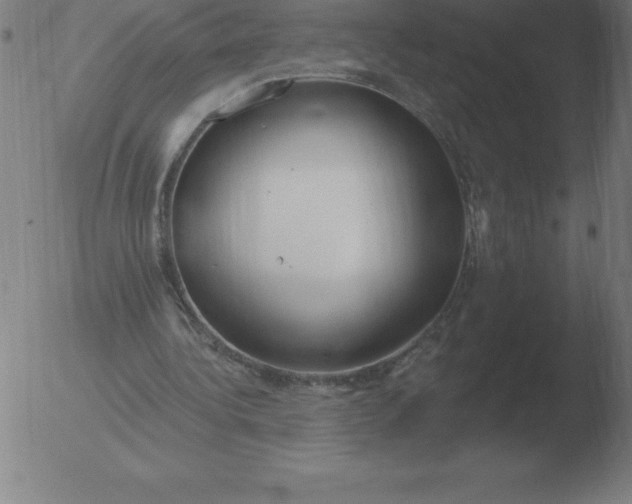 X0000051920340200507082100