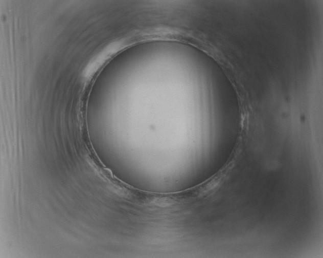 X0000051920341200507082100