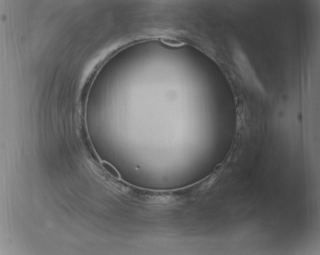 X0000051920342200507082100