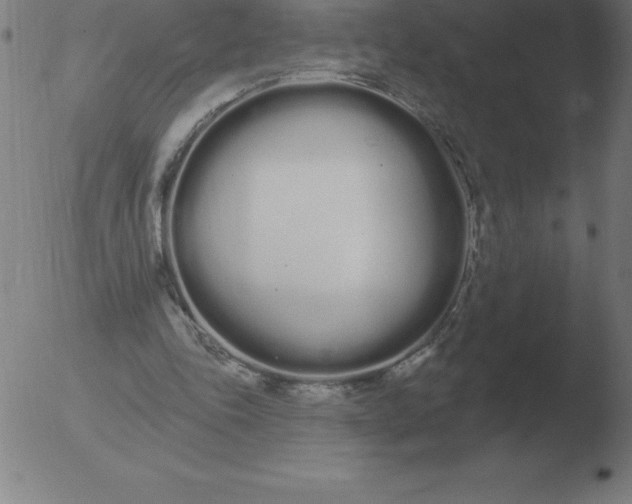 X0000051920343200507082100