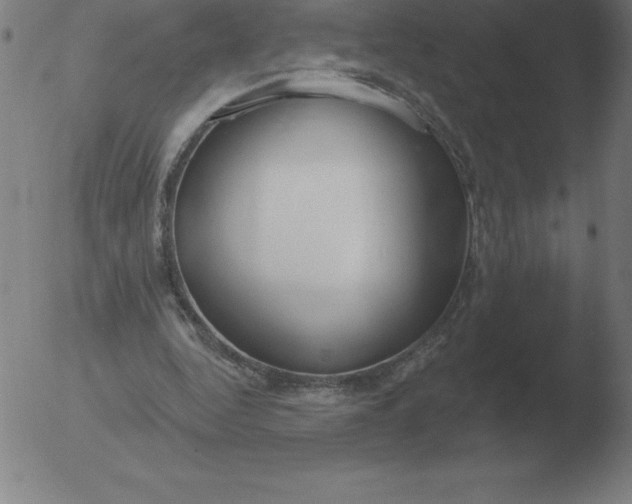 X0000051920344200507082100