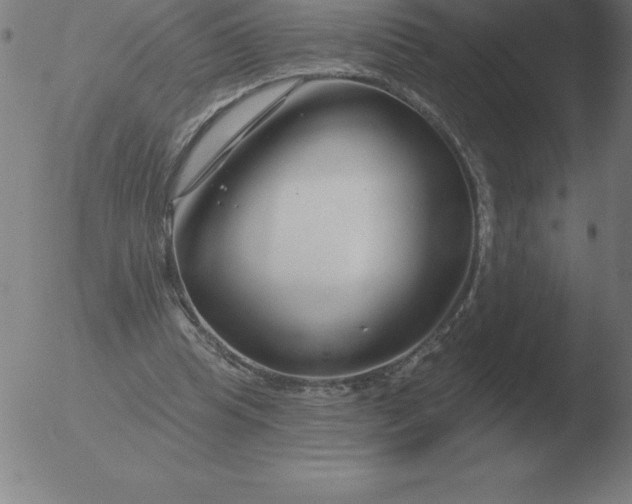 X0000051920345200507082100