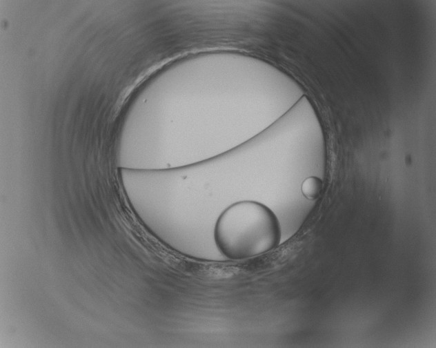 X0000051920346200507082100