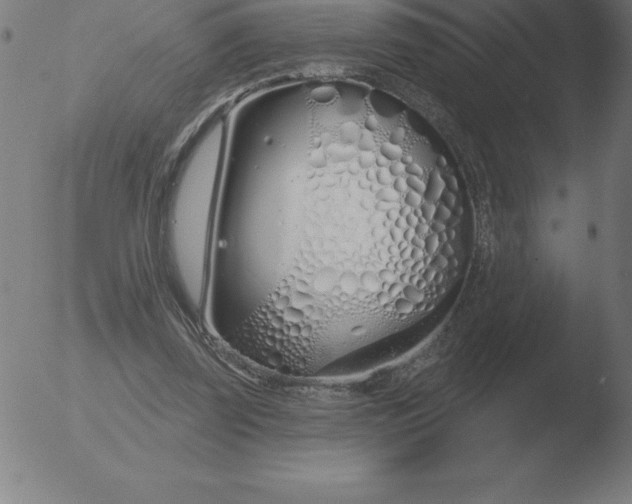 X0000051920347200507082100