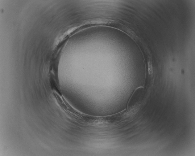 X0000051920348200507082101