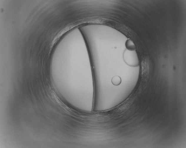 X0000051920349200507082101