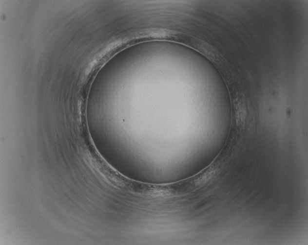 X0000051920350200507082101