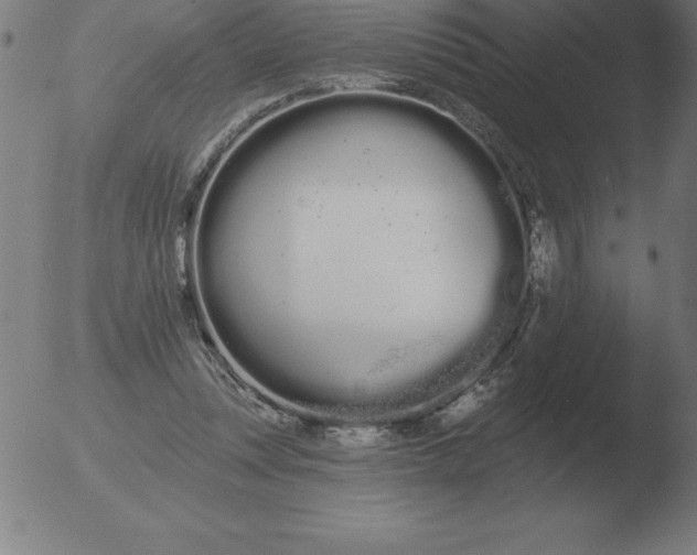 X0000051920351200507082101