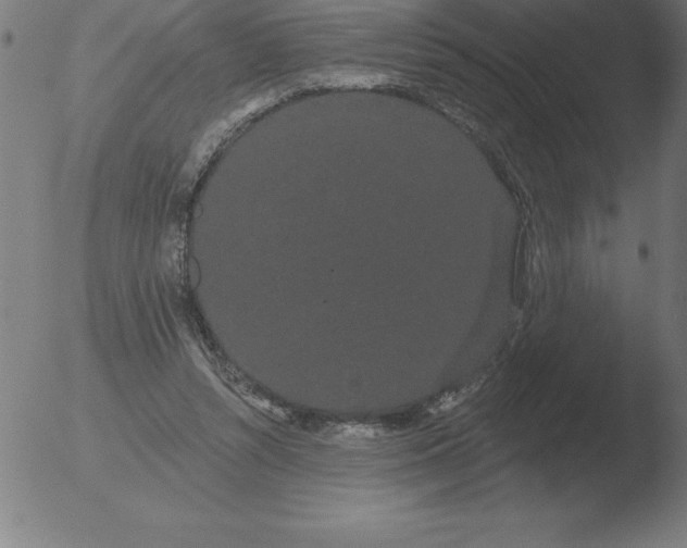 X0000051920352200507082101