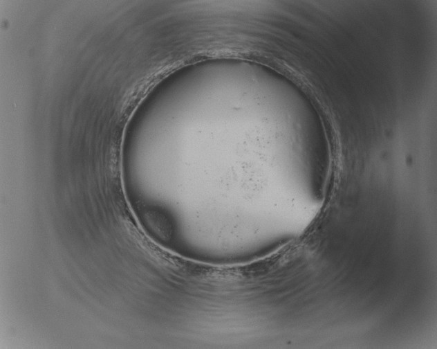 X0000051920353200507082101