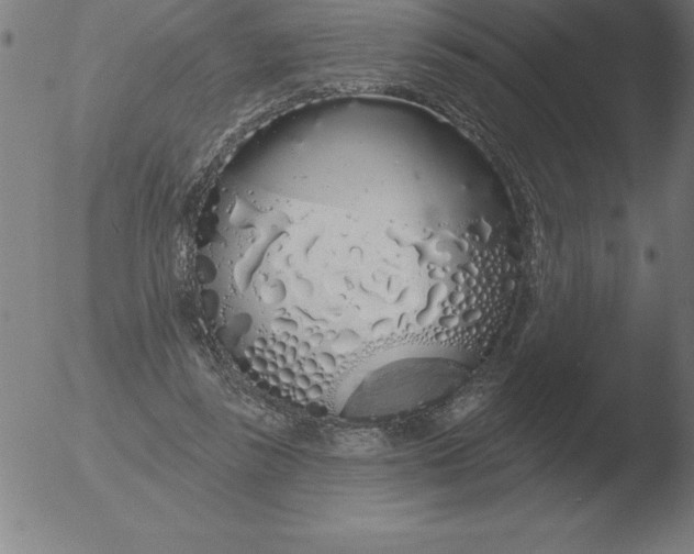 X0000051920355200507082101