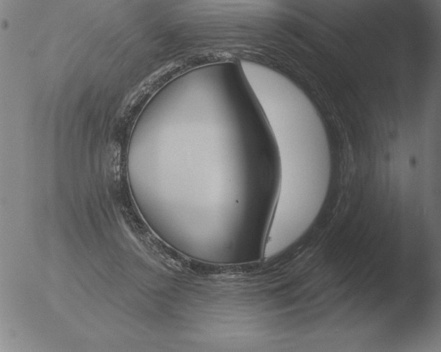 X0000051920356200507082101