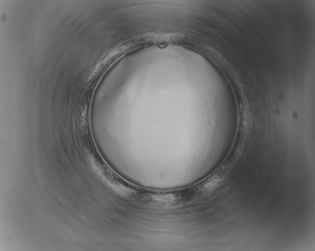 X0000051920357200507082101