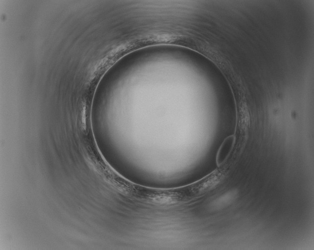 X0000051920358200507082101