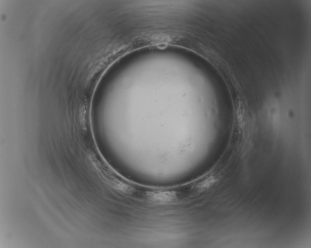 X0000051920359200507082101