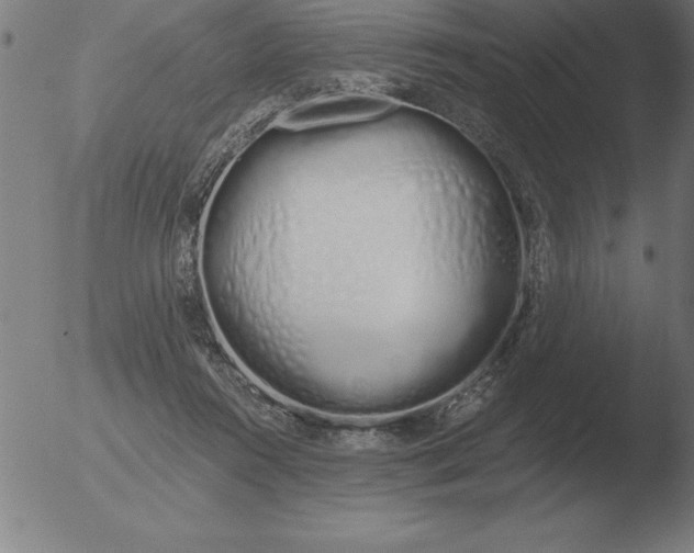 X0000051920360200507082101