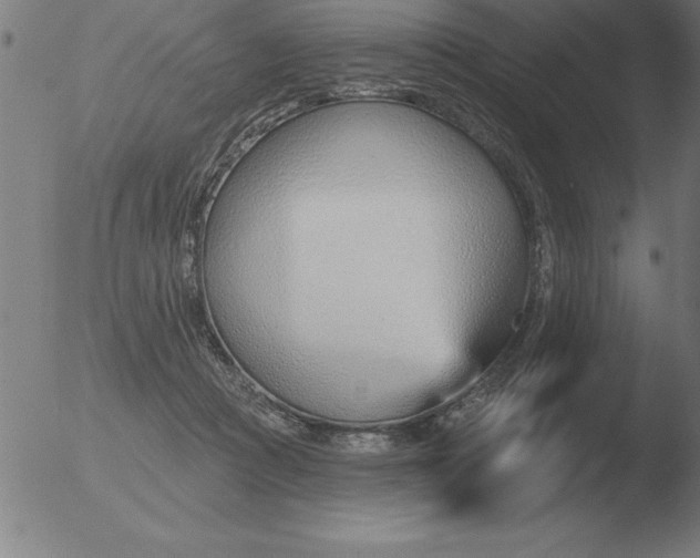 X0000051920361200507082101