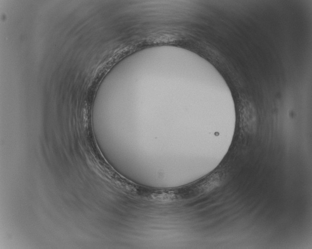 X0000051920362200507082101